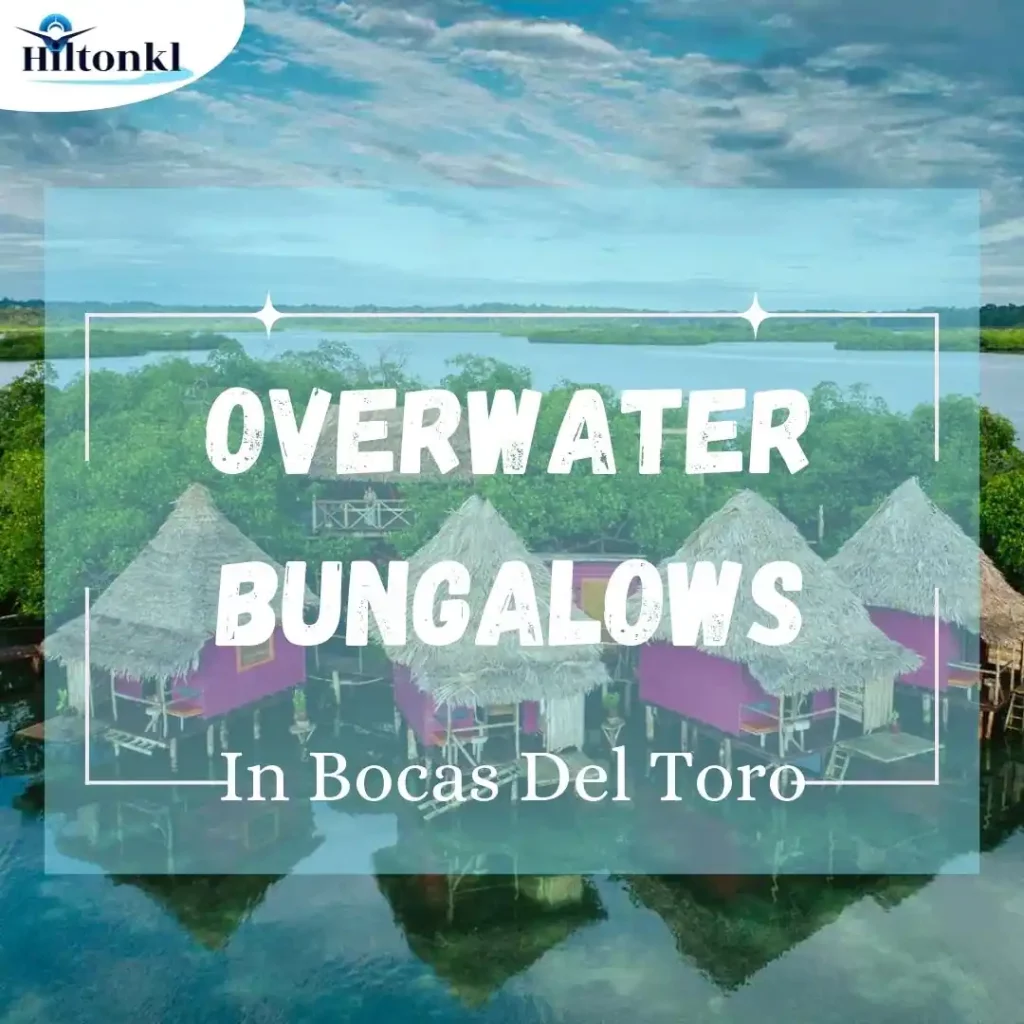 Bocas Del Toro Overwater Bungalows